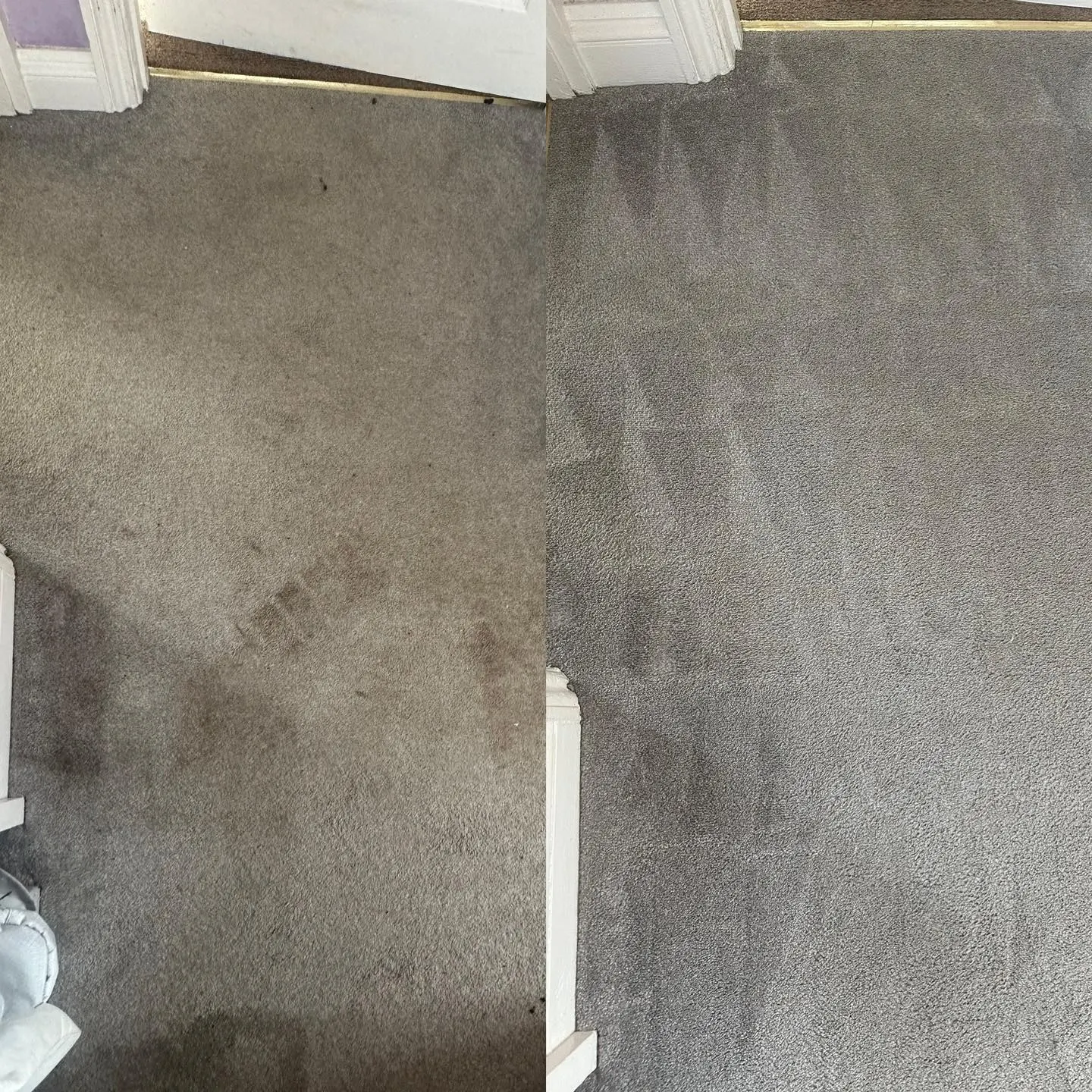 Grey carpet before and after carpet cleaning by Elite Cleaning Services Cambridge